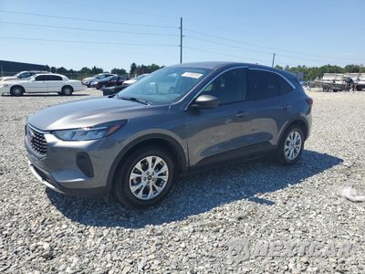 2024 FORD ESCAPE ACTIVE 1FMCU0GN0RUB10390 - główne zdjęcie licytacji z USA - miniatura