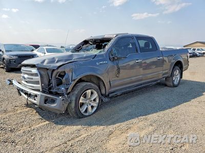 2015 FORD F-150 LIGHTNING F150 SUPERCREW 1FTFW1EGXFFB49929 - główne zdjęcie licytacji z USA - miniatura