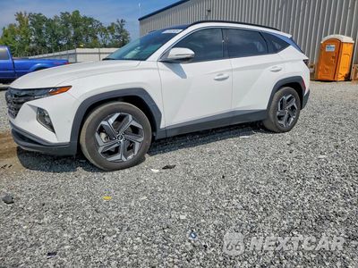 2024 HYUNDAI TUCSON LIMITED 5NMJE3DE8RH440218 - główne zdjęcie licytacji z USA - miniatura