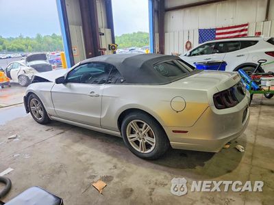Drugie zdjęcie samochodu z przodu: 2014 FORD MUSTANG VIN:1ZVBP8EMXE5289555 - miniatura