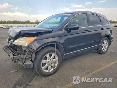 2008 HONDA CR-V EXL JHLRE38728C037348 - główne zdjęcie licytacji z USA - miniatura