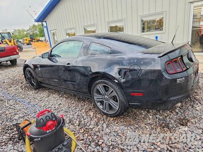 Drugie zdjęcie samochodu z przodu: 2013 FORD MUSTANG VIN:1ZVBP8AM6D5215859 - miniatura