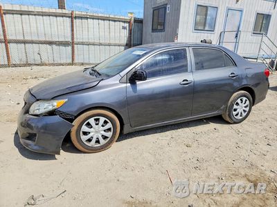 2010 TOYOTA COROLLA LE 1NXBU4EE9AZ311165 - główne zdjęcie licytacji z USA - miniatura