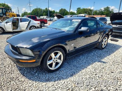 2009 FORD MUSTANG 1ZVHT80N695102369 - główne zdjęcie licytacji z USA - miniatura