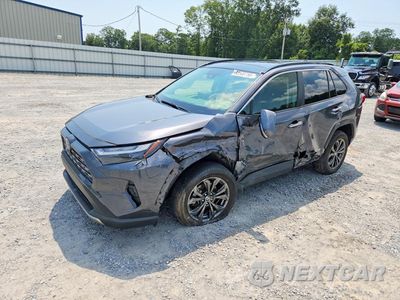 2024 TOYOTA RAV4 LIMITED JTMD6RFV9RD129576 - główne zdjęcie licytacji z USA - miniatura