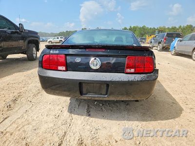 Zdjęcie 6 z 12 samochodu: 2008 FORD MUSTANG VIN:1ZVHT80N385142472 - miniatura