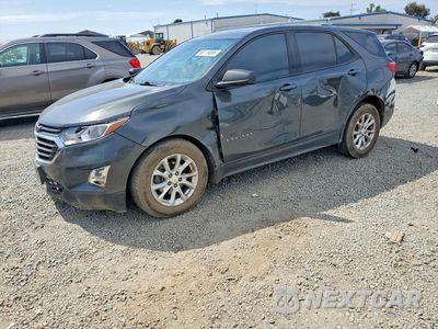 2019 CHEVROLET EQUINOX LS 2GNAXHEV3K6196214 - główne zdjęcie licytacji z USA - miniatura