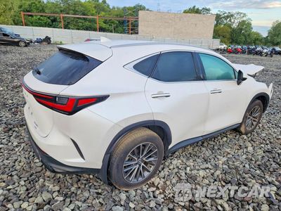 Trzecie zdjęcie samochodu z tyłu: 2025 LEXUS NX 250 BASE VIN:2T2ADCEZ9SC005509 - miniatura