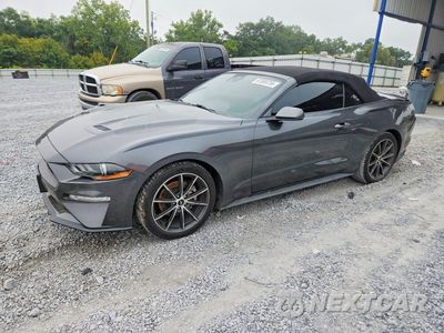 2019 FORD MUSTANG 1FATP8UHXK5150118 - główne zdjęcie licytacji z USA - miniatura
