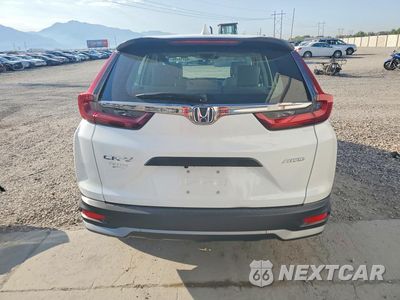 Zdjęcie 6 z 13 samochodu: 2020 HONDA CR-V LX VIN:5J6RW2H29LA002104 - miniatura