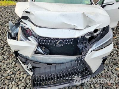 Zdjęcie 12 z 13 samochodu: 2025 LEXUS NX 250 BASE VIN:2T2ADCEZ9SC005509 - miniatura