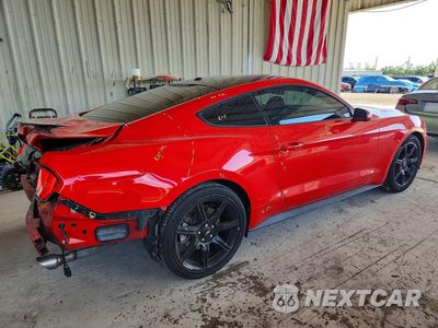 Trzecie zdjęcie samochodu z tyłu: 2019 FORD MUSTANG VIN:1FA6P8TH6K5166900 - miniatura