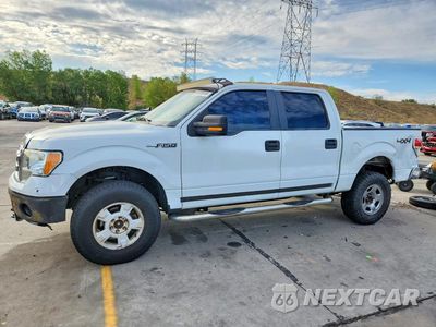 2009 FORD F150 SUPERCREW 1FTPW14V59FB25661 - główne zdjęcie licytacji z USA - miniatura