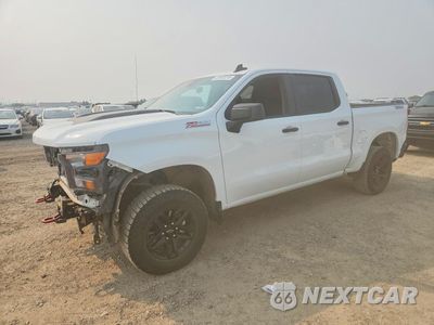2025 CHEVROLET SILVERADO K1500 TRAIL BOSS CUSTOM 3GCUKCED5SG281526 - główne zdjęcie licytacji z USA - miniatura