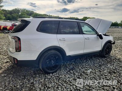 Trzecie zdjęcie samochodu z tyłu: 2023 KIA TELLURIDE SX-PRESTIGE X-PRO VIN:5XYP5DGC8PG334675 - miniatura