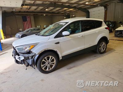 2019 FORD ESCAPE SE 1FMCU9GD1KUA03057 - główne zdjęcie licytacji z USA - miniatura