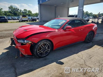 2019 FORD MUSTANG 1FATP8UH0K5138608 - główne zdjęcie licytacji z USA - miniatura