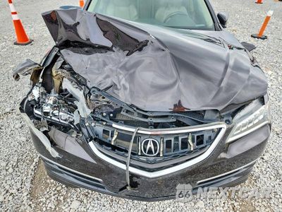 Zdjęcie 11 z 12 samochodu: 2015 ACURA TLX TECH VIN:19UUB2F56FA012443 - miniatura