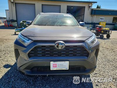 Piąte zdjęcie samochodu w środku: 2025 TOYOTA RAV4 XLE VIN:2T3P1RFV7SW509181 - miniatura