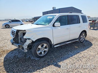 2014 HONDA PILOT EXLN 5FNYF3H75EB002453 - główne zdjęcie licytacji z USA - miniatura