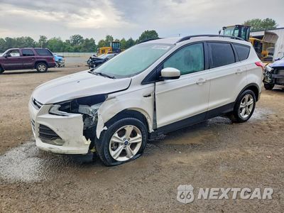 2014 FORD ESCAPE SE 1FMCU0GX0EUC16205 - główne zdjęcie licytacji z USA - miniatura