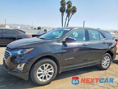 2019 CHEVROLET EQUINOX LS 2GNAXHEV4K6244822 - główne zdjęcie licytacji z USA - miniatura