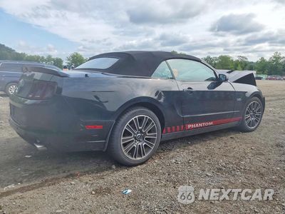 Trzecie zdjęcie samochodu z tyłu: 2013 FORD MUSTANG GT VIN:1ZVBP8FF7D5254132 - miniatura