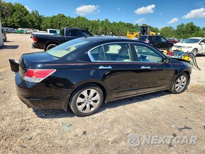 Trzecie zdjęcie samochodu z tyłu: 2010 HONDA ACCORD EXL VIN:1HGCP3F80AA021113 - miniatura