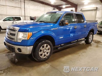 2013 FORD F150 SUPERCREW 1FTFW1ET8DKF26310 - główne zdjęcie licytacji z USA - miniatura