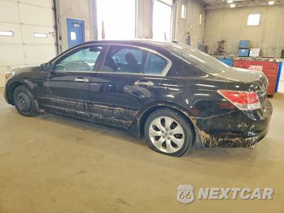 Drugie zdjęcie samochodu z przodu: 2010 HONDA ACCORD EXL VIN:5KBCP3F87AB006163 - miniatura