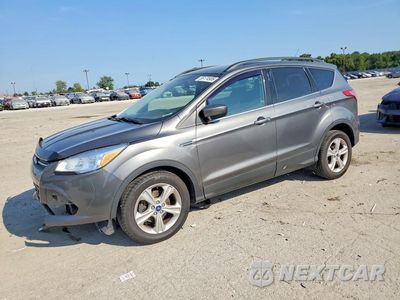 2014 FORD ESCAPE SE 1FMCU0GXXEUE24155 - główne zdjęcie licytacji z USA - miniatura