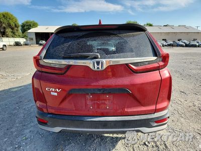 Zdjęcie 6 z 13 samochodu: 2020 HONDA CR-V LX VIN:5J6RW1H24LA009651 - miniatura