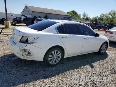 Trzecie zdjęcie samochodu z tyłu: 2010 HONDA ACCORD LX VIN:1HGCP2F37AA155115 - miniatura