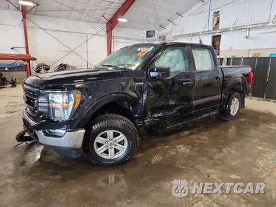 2023 FORD F150 SUPERCREW 1FTEW1EP3PFB86947 - główne zdjęcie licytacji z USA - miniatura
