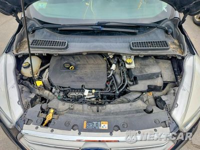 Zdjęcie 12 z 13 samochodu: 2018 FORD ESCAPE SE VIN:1FMCU9GD2JUC38341 - miniatura