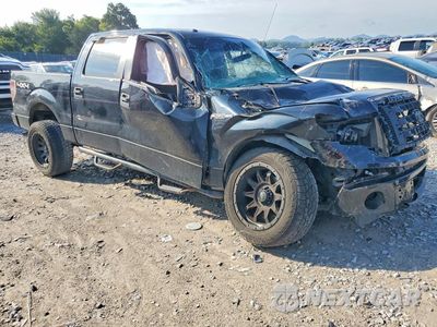 Czwarte zdjęcie samochodu z boku: 2014 FORD F150 SUPERCREW VIN:1FTFW1EF0EFD03716 - miniatura