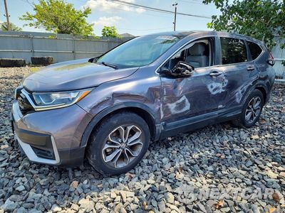 2020 HONDA CR-V EX 7FARW2H55LE022653 - główne zdjęcie licytacji z USA - miniatura