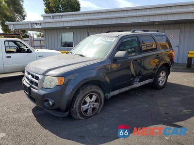 2009 FORD ESCAPE XLT 1FMCU03769KB28671 - główne zdjęcie licytacji z USA - miniatura
