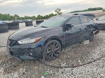 2021 NISSAN MAXIMA SR 1N4AA6EV6MC502448 - główne zdjęcie licytacji z USA - miniatura