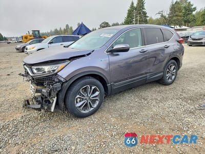 2022 HONDA CR-V EXL 5J6RT6H80NL015206 - główne zdjęcie licytacji z USA - miniatura