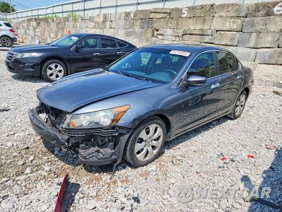 2009 HONDA ACCORD EXL 5KBCP36859B002950 - główne zdjęcie licytacji z USA - miniatura