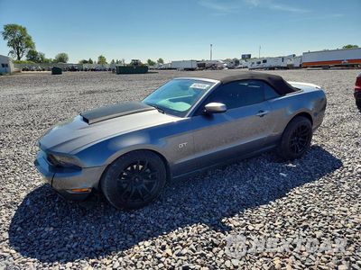 2010 FORD MUSTANG GT 1ZVBP8FH4A5103052 - główne zdjęcie licytacji z USA - miniatura