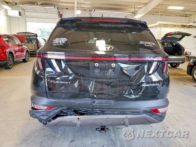 Zdjęcie 6 z 13 samochodu: 2024 HYUNDAI TUCSON LIMITED VIN:KM8JECD19RU202993 - miniatura