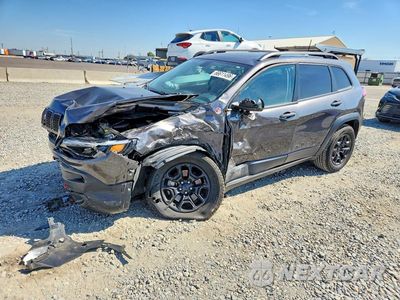 2019 JEEP CHEROKEE TRAILHAWK 1C4PJMBX6KD471384 - główne zdjęcie licytacji z USA - miniatura
