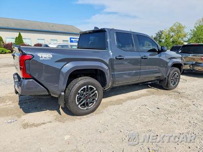 Trzecie zdjęcie samochodu z tyłu: 2025 TOYOTA TACOMA TRD SPORT VIN:3TMLB5JN3SM206069 - miniatura