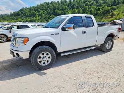 2014 FORD F150 SUPER CAB 1FTFX1EF1EFB16000 - główne zdjęcie licytacji z USA - miniatura