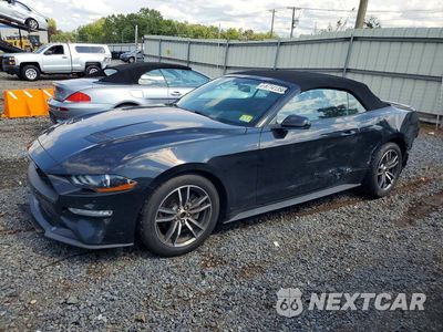 2019 FORD MUSTANG 1FATP8UH8K5171128 - główne zdjęcie licytacji z USA - miniatura