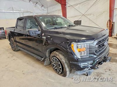 Czwarte zdjęcie samochodu z boku: 2023 FORD F150 SUPERCREW VIN:1FTFW1E80PKF86761 - miniatura