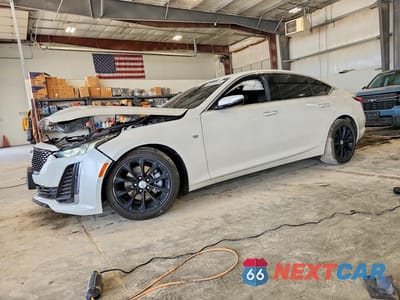 2024 CADILLAC CT5 PREMIUM LUXURY 1G6DN5RK8R0101372 - główne zdjęcie licytacji z USA - miniatura