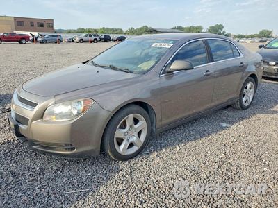 2012 CHEVROLET MALIBU LS 1G1ZB5E03CF165266 - główne zdjęcie licytacji z USA - miniatura